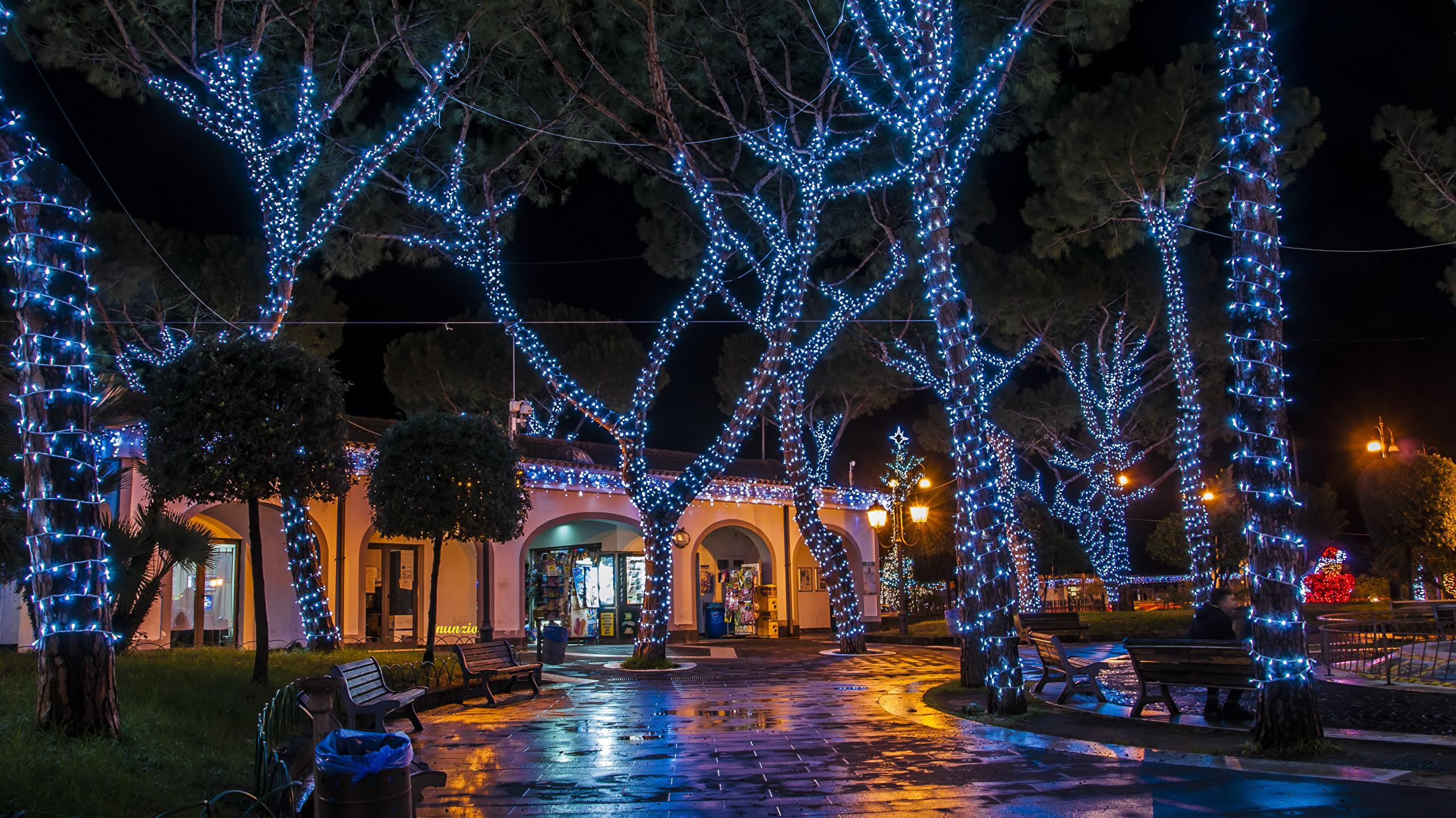 Image Italy Christmas Casamicciola Night Time Fairy