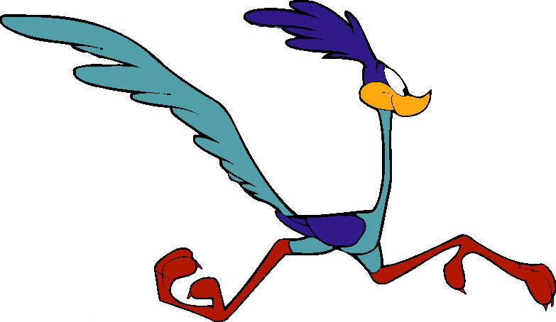 Coyote and The Road Runner   Cartoon Wallpapers
