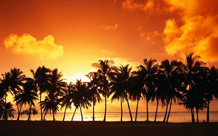 Beach Wallpaper Desktop Widescreen Sunset