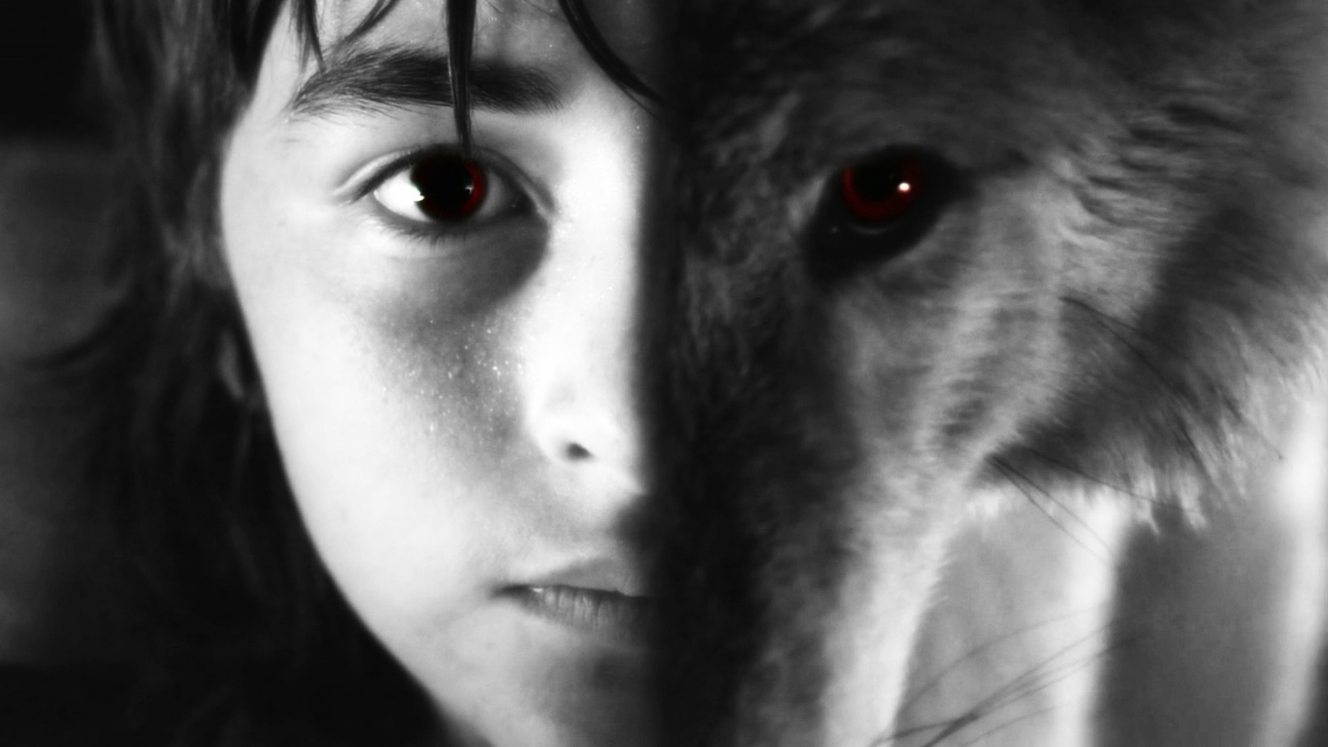 Game Of Thrones Direwolves Brandon Stark Selective Coloring