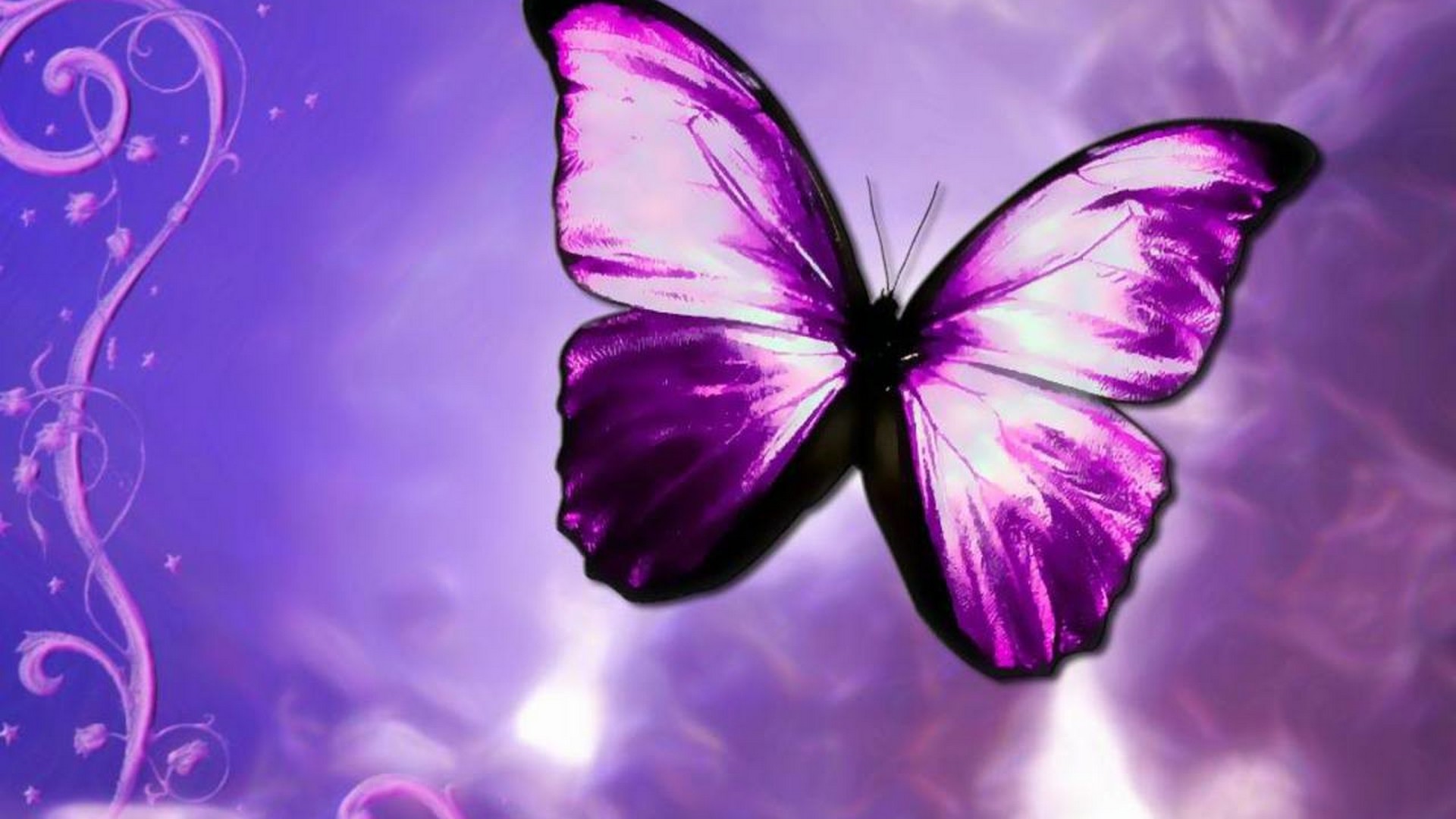 Purple Butterfly Desktop Background HD Wallpaper