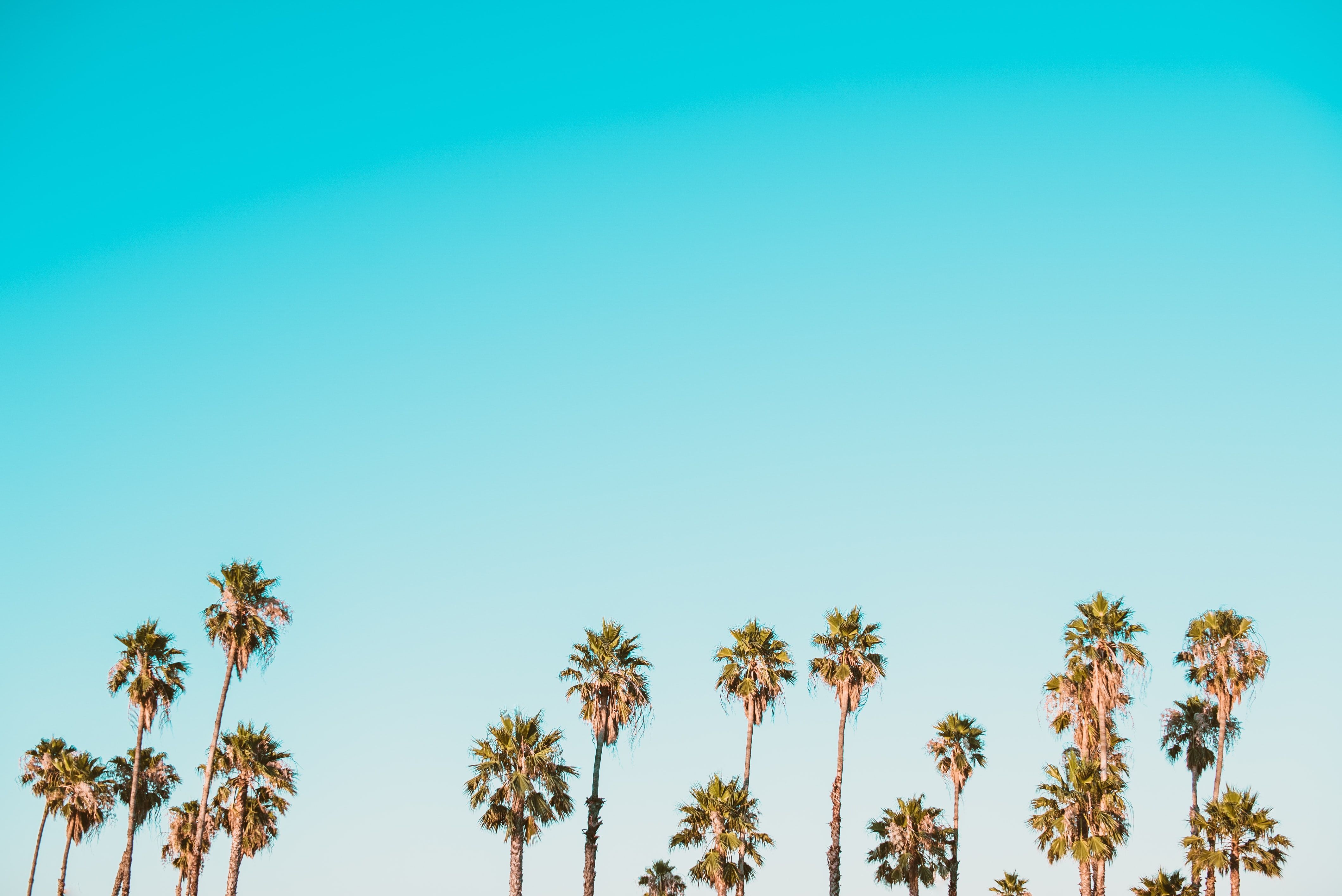 California Aesthetic Wallpaper