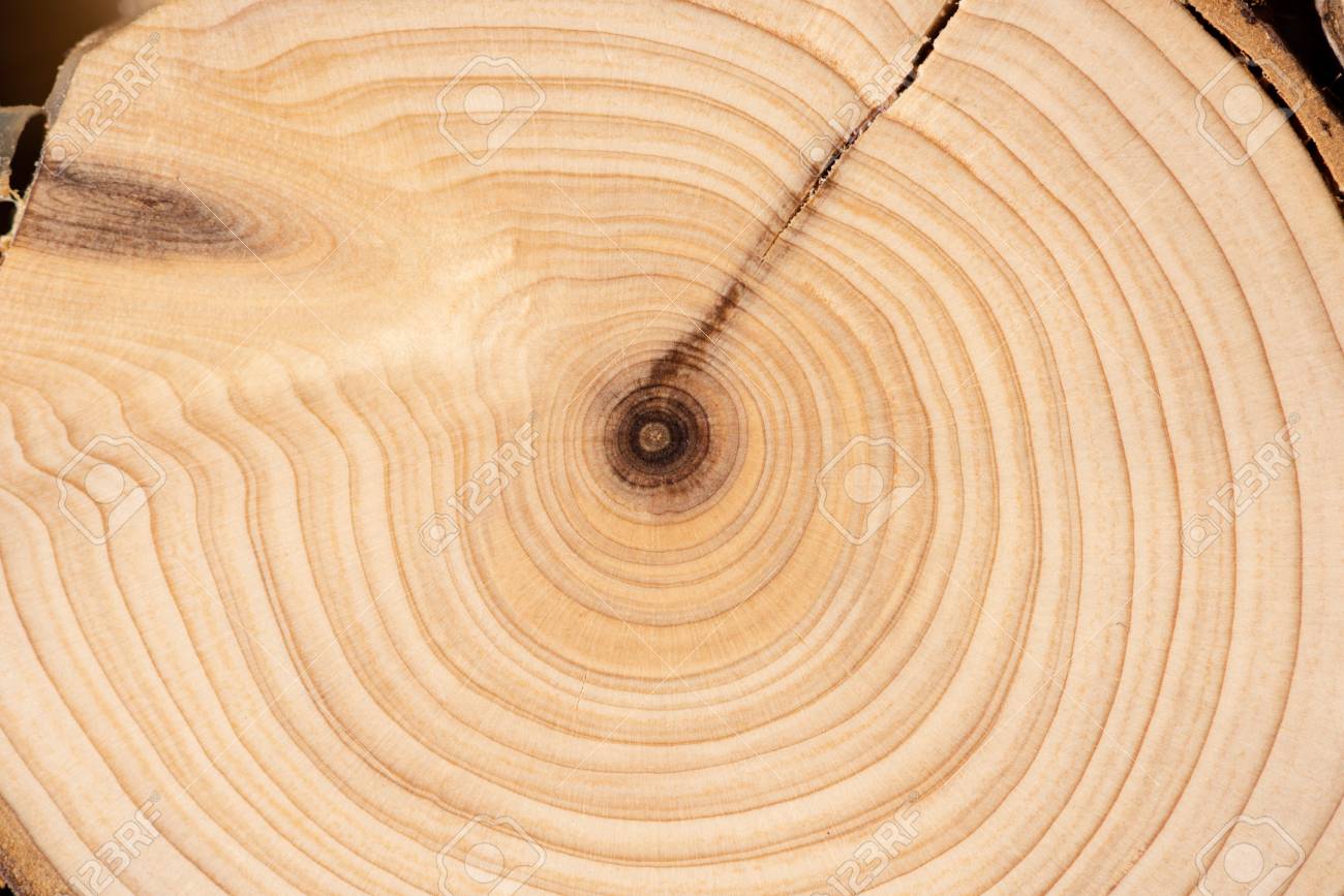 Core Of Juniper And Sandalwood Background Stock Photo Picture