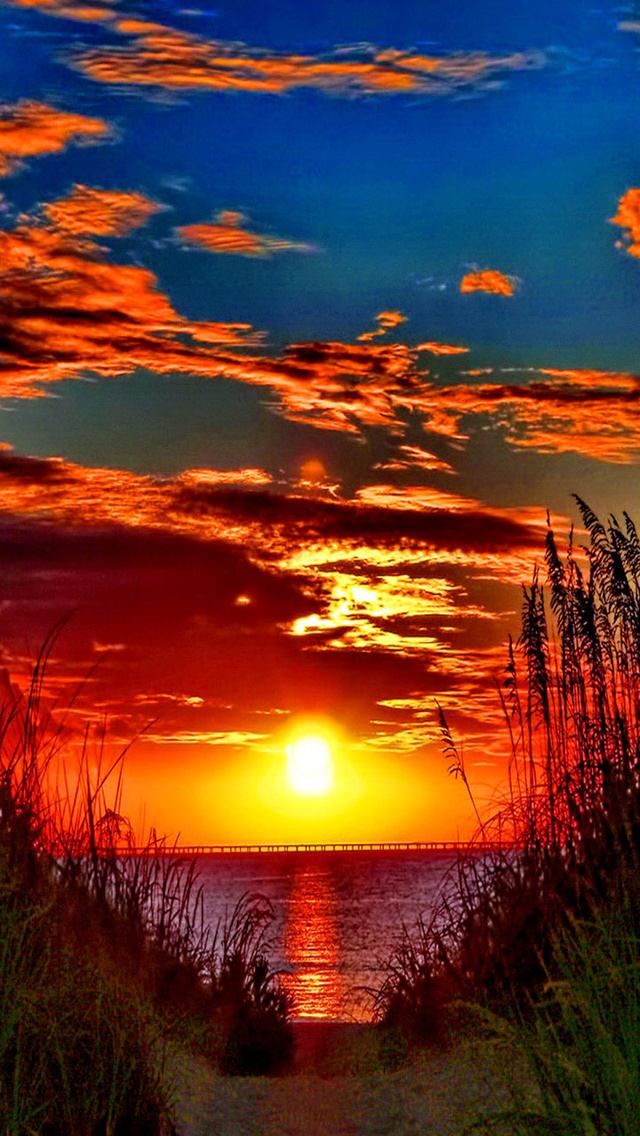 Awesome Colorful Sunset The iPhone Wallpaper