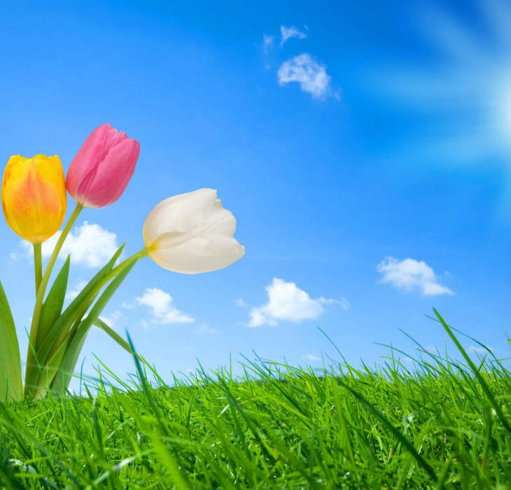spring nature wallpapers hd wallpapers spring nature wallpapers hd