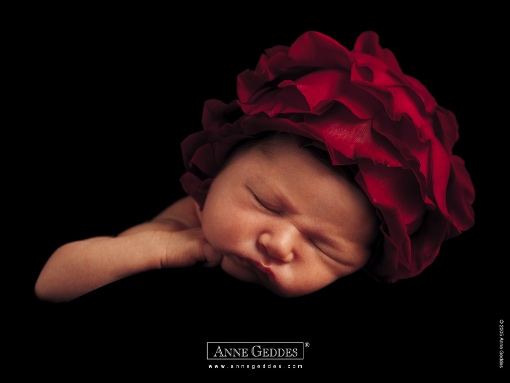 Anne Geddes Baby Wallpapers