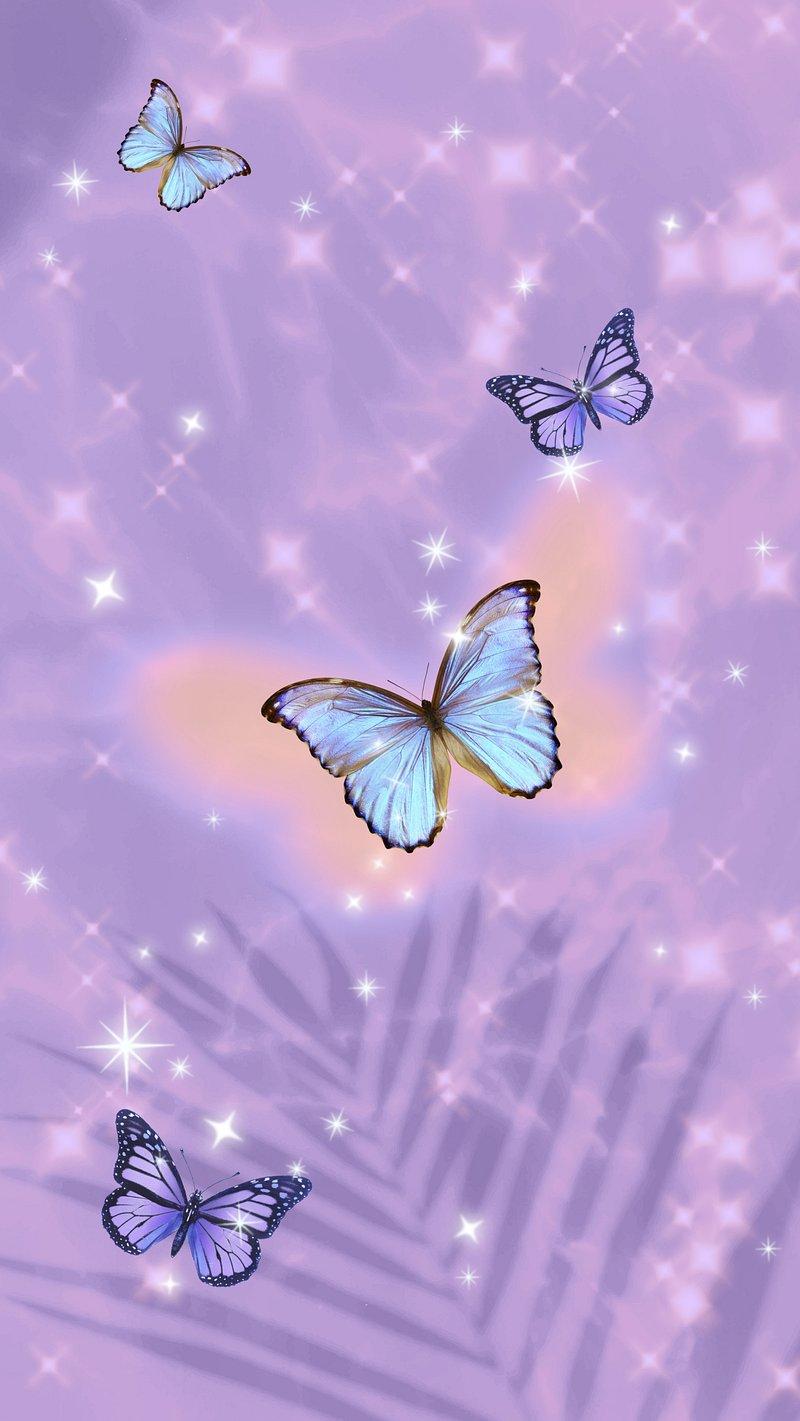 Butterfly Phone Wallpaper Image Photos Png Stickers