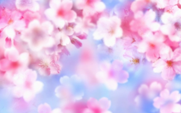 Festivals and Wallpapers Cute Nature Wallpaper For Laptops 600x375