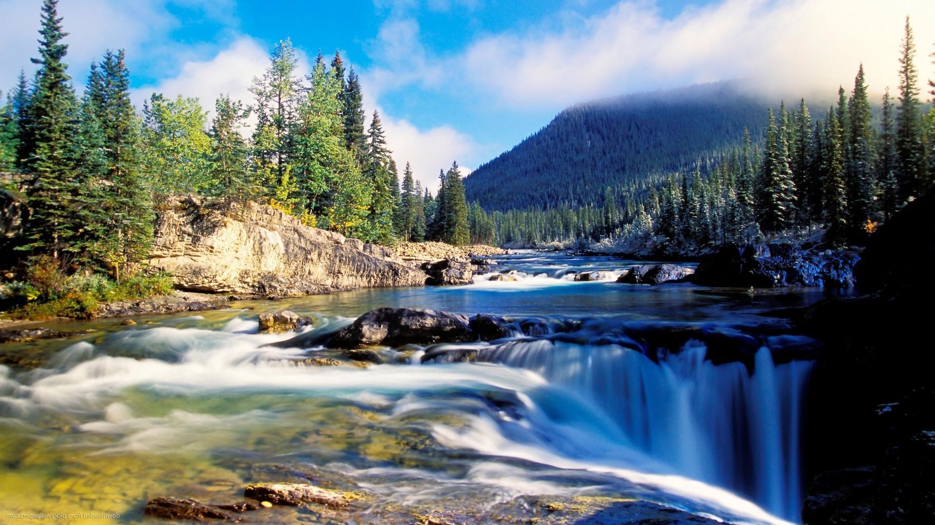 Scenic summer waterfall in a lush green forest
