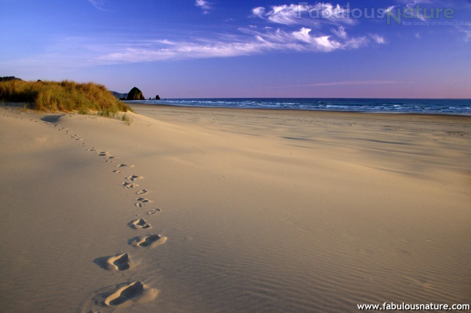 Pictures Footprints In The Sand Oregon Coast Beaches Wallpaper