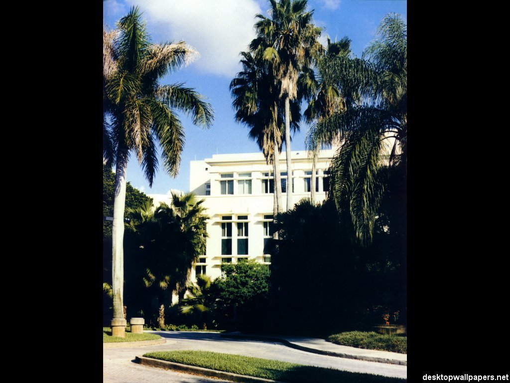 Ashe Building University Of Miami Florida At Desktopwallpaper