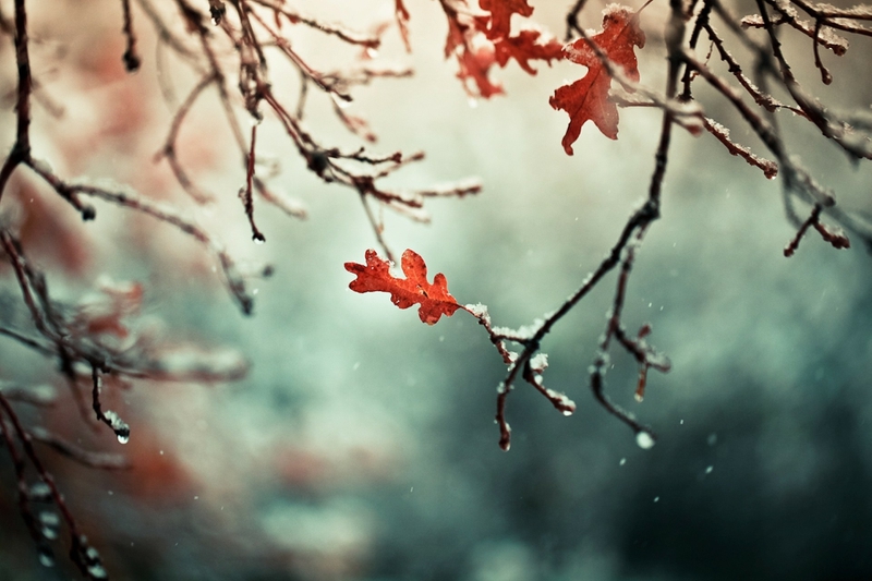 Category Nature HD Wallpaper Subcategory Winter