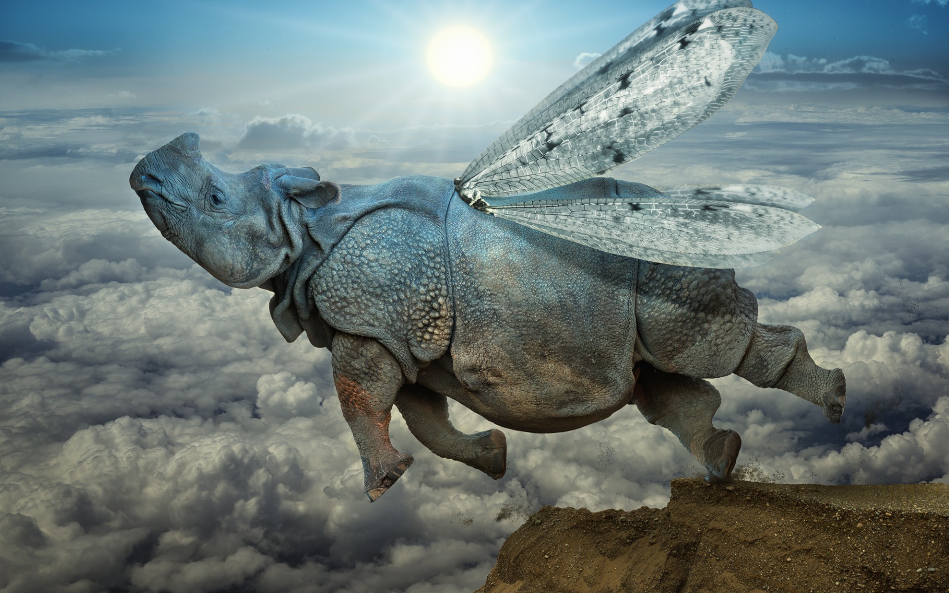 Flying Rhino HD Wallpaper