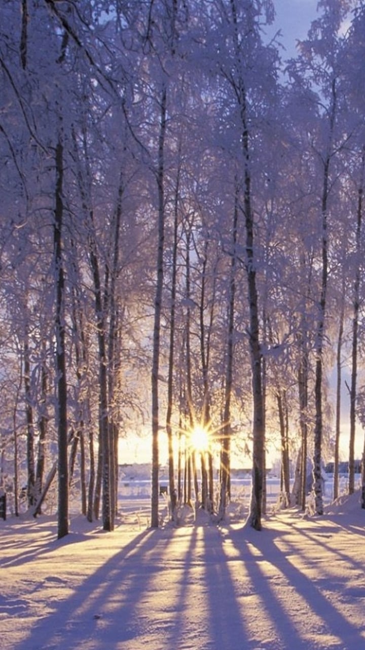 24++ Lock Screen Winter Iphone Wallpaper Hd - Green Wallpaper