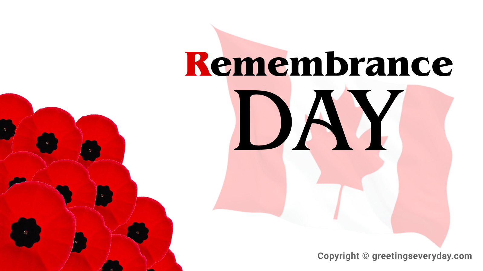 Remembrance Day Wallpaper Amp Image For Whatsapp