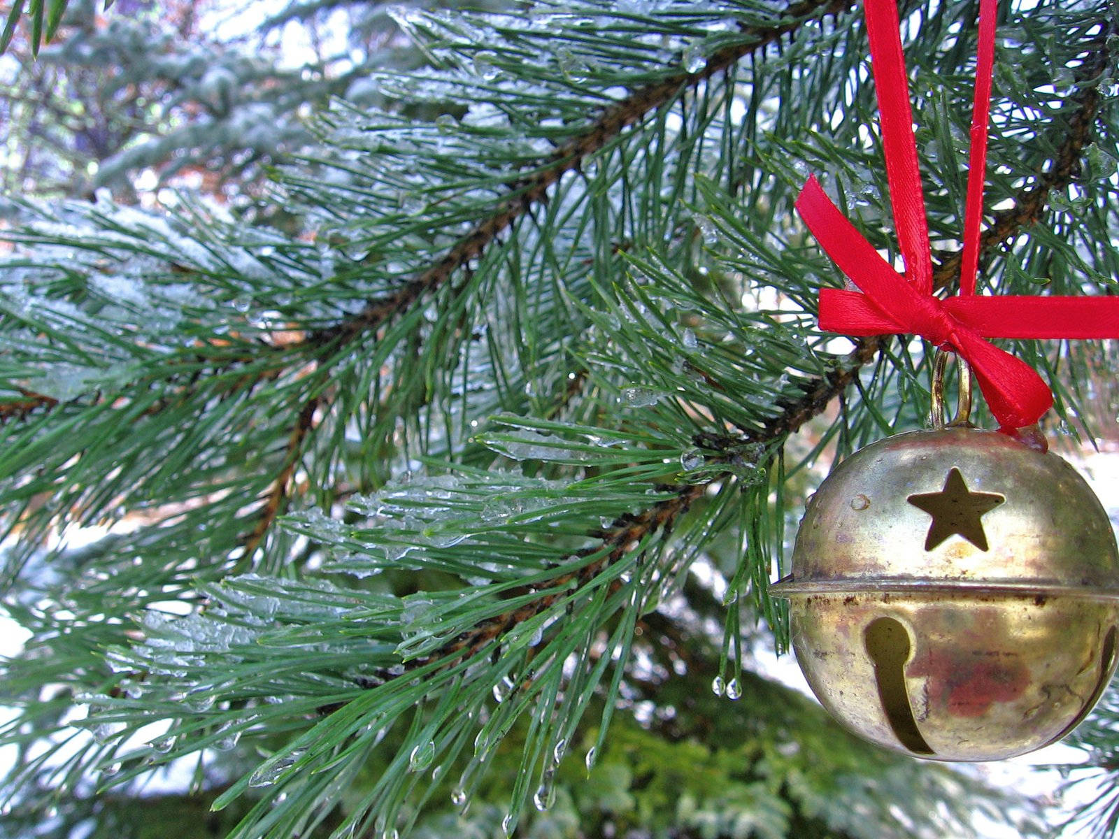 Top Christmas Bell Wallpaper Full HD 4k To Use