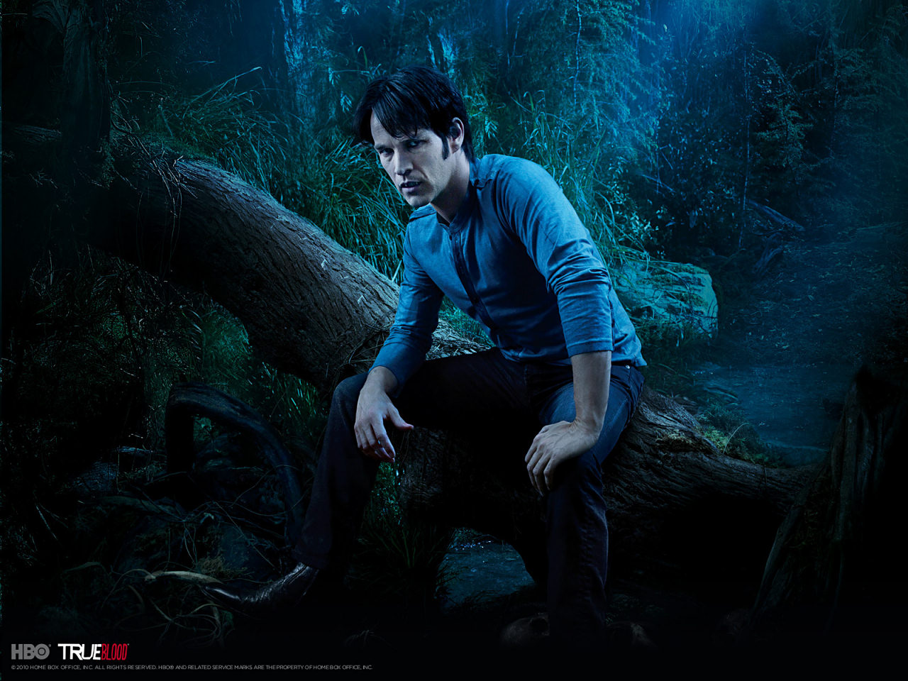 High Definition Photo And Wallpaper True Blood HD