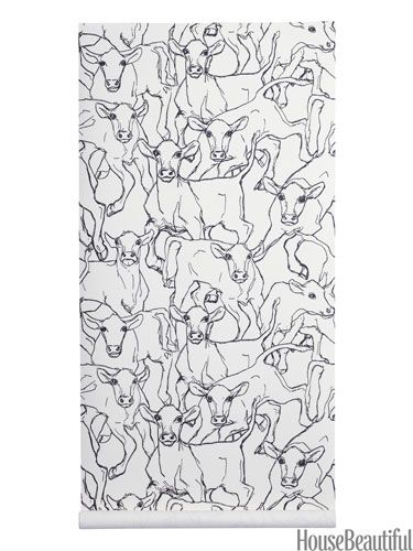 Animal Themed Wallpaper