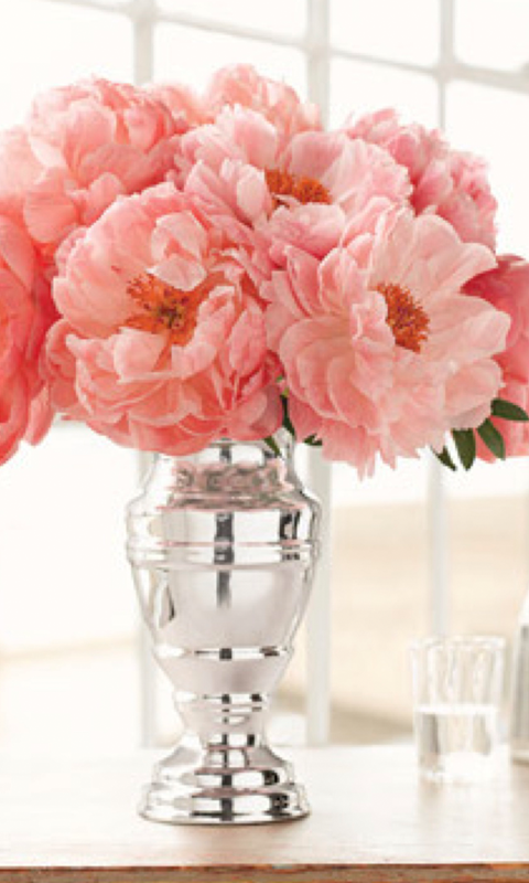 Peonies HD Live Wallpaper For Android