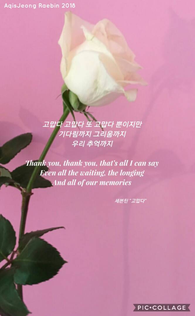 Seventeen Thanks Lyrics Wallpaper By Raebindaehwi1212