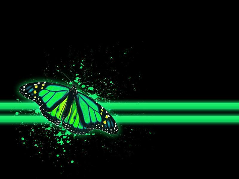 Download Green Butterfly Iphone White Sparkles Wallpaper  Wallpaperscom