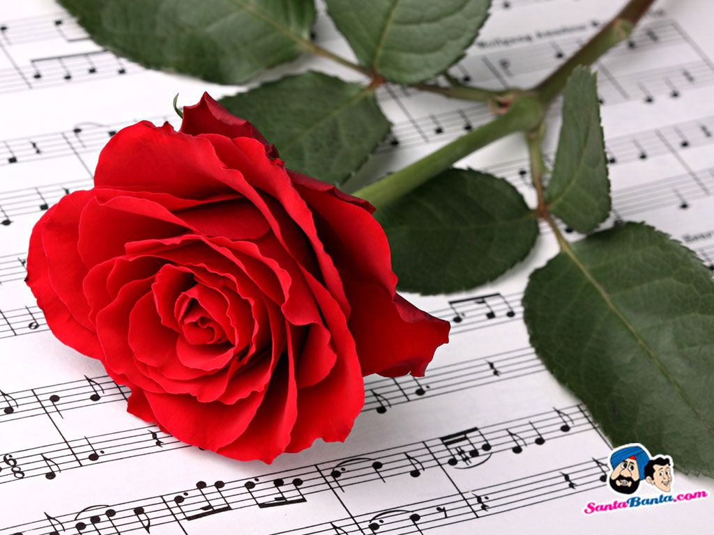 C29f9c3637ae6af5afe6e2306e60b447 Wallpaper