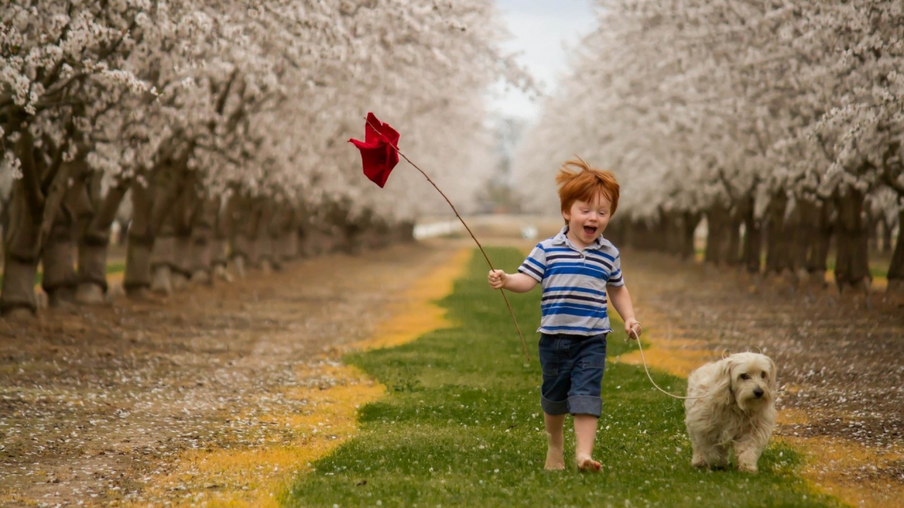 Spring Dog And Boy 1280 x 720 Download Close