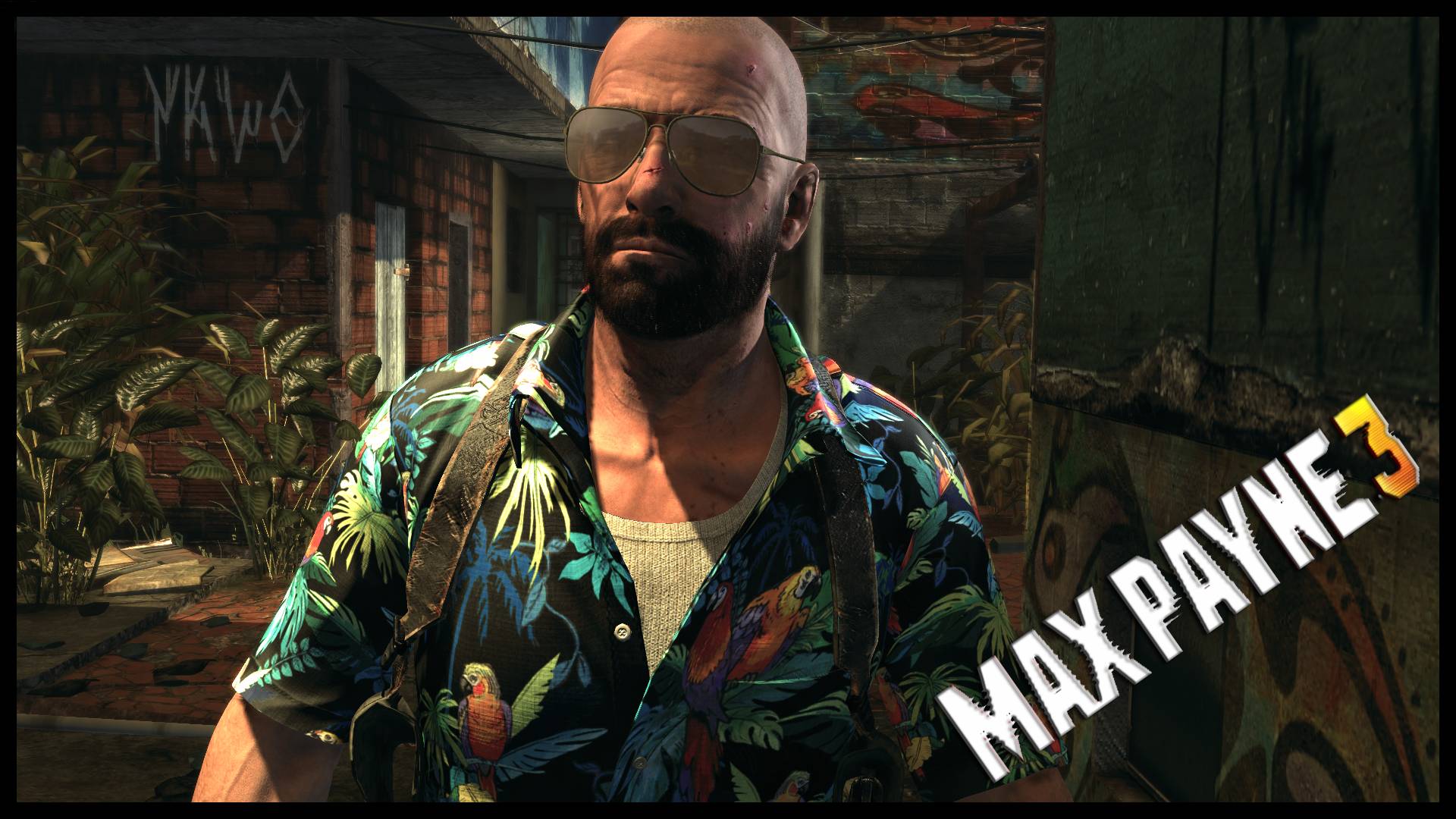 HD Max Payne Wallpaper