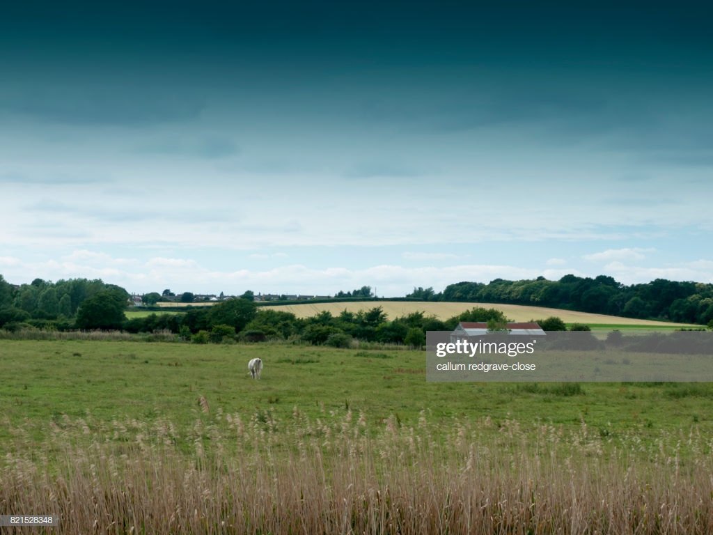 English Farm Fields In The Countryside Uk Stock Photo Getty Image