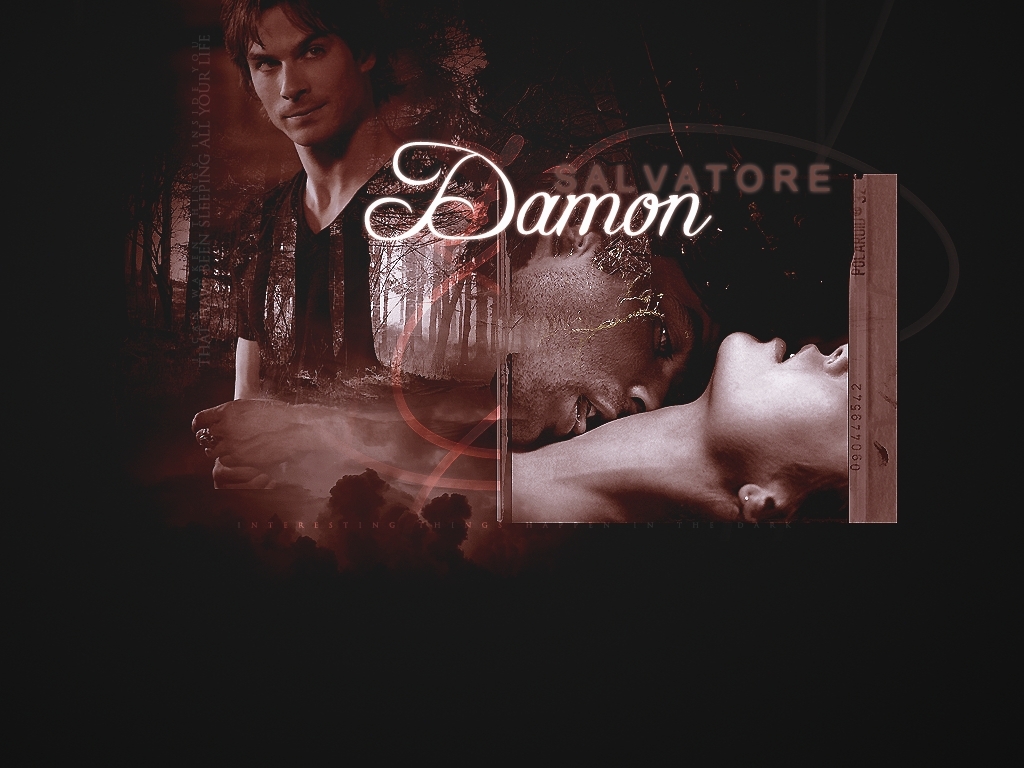 Damon Salvatore   The Vampire Diaries Wallpaper 8415043 1024x768