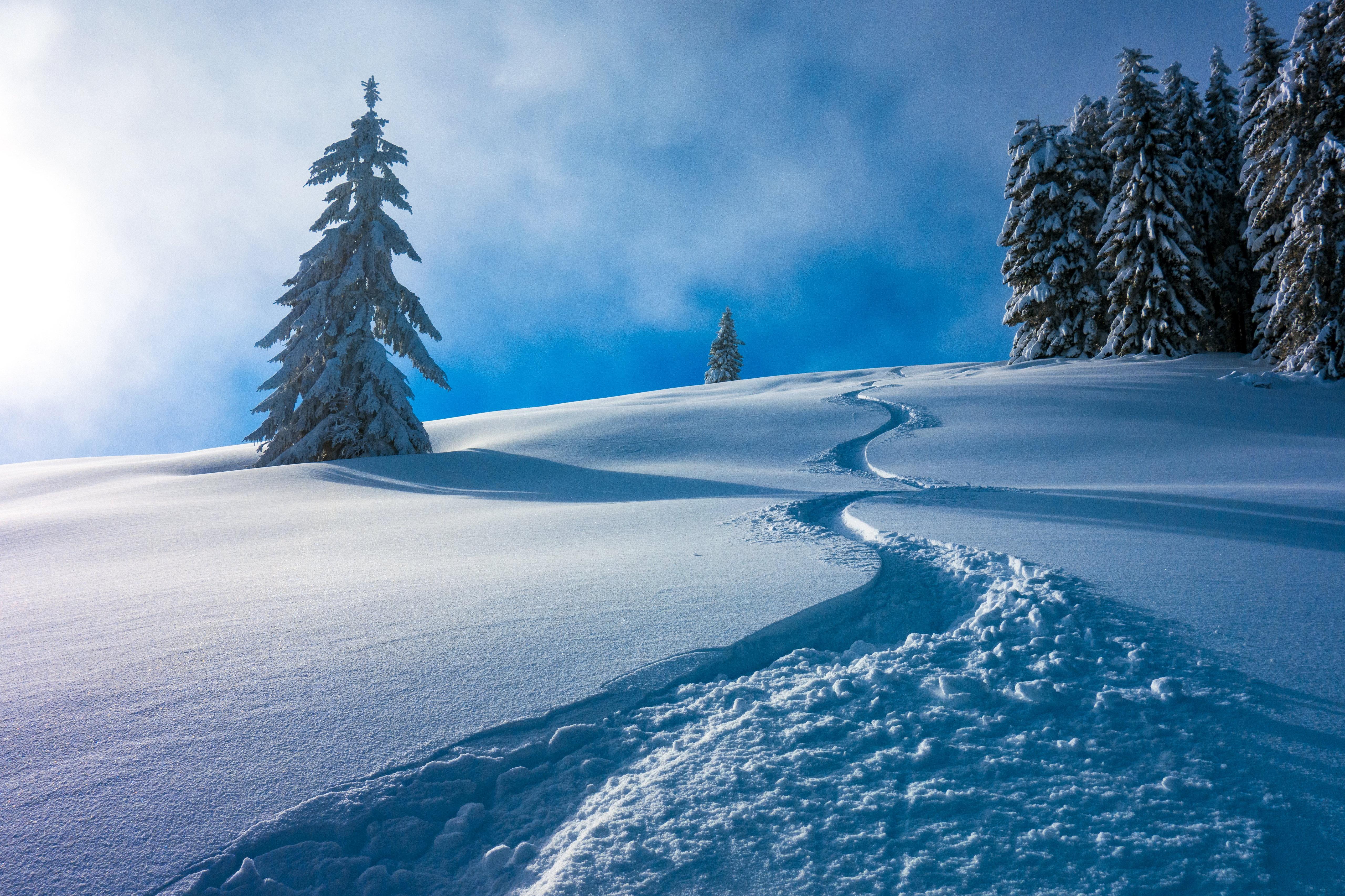 Nature Winter 4k Ultra HD Wallpaper