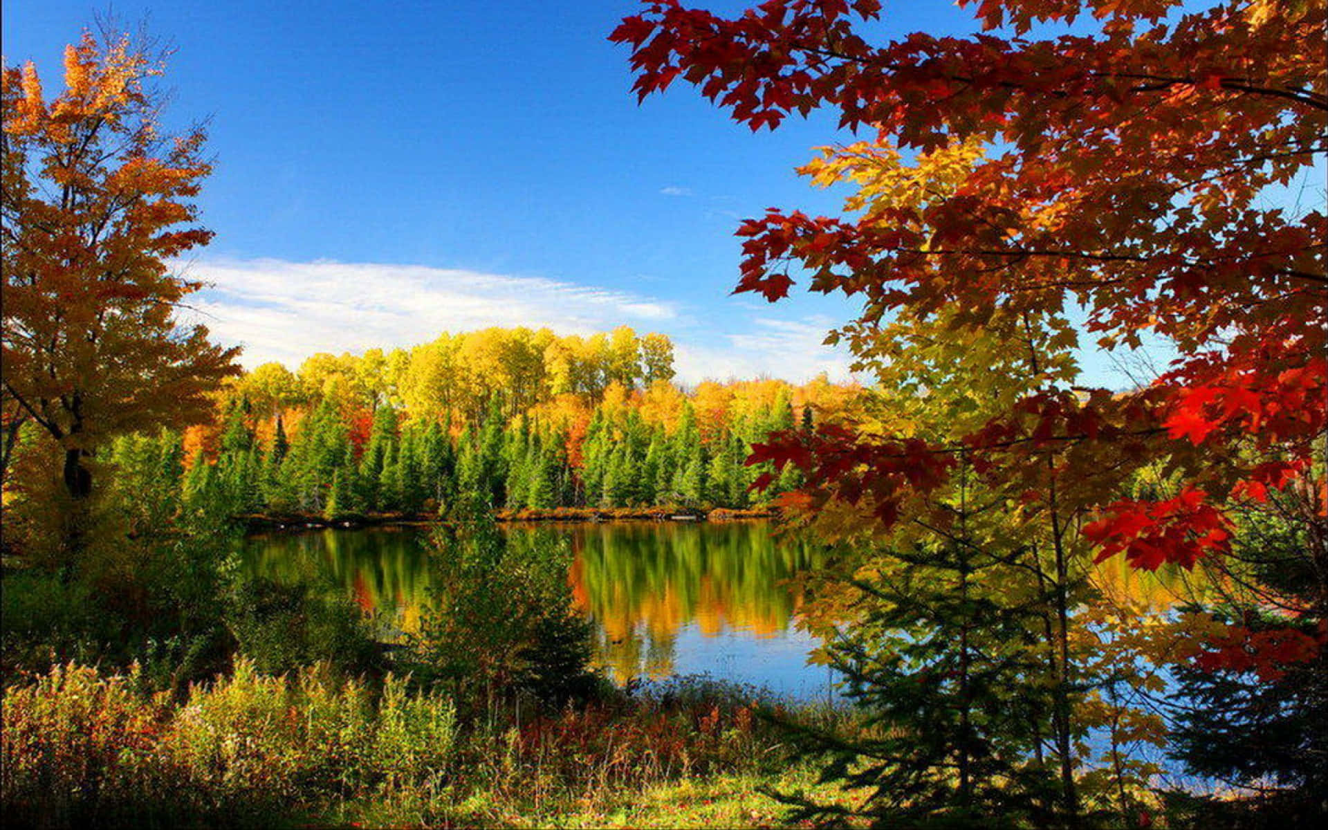 Placid Autumn Season Wallpaper
