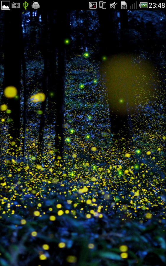 Firefly Live Wallpaper Android Apps On Google Play
