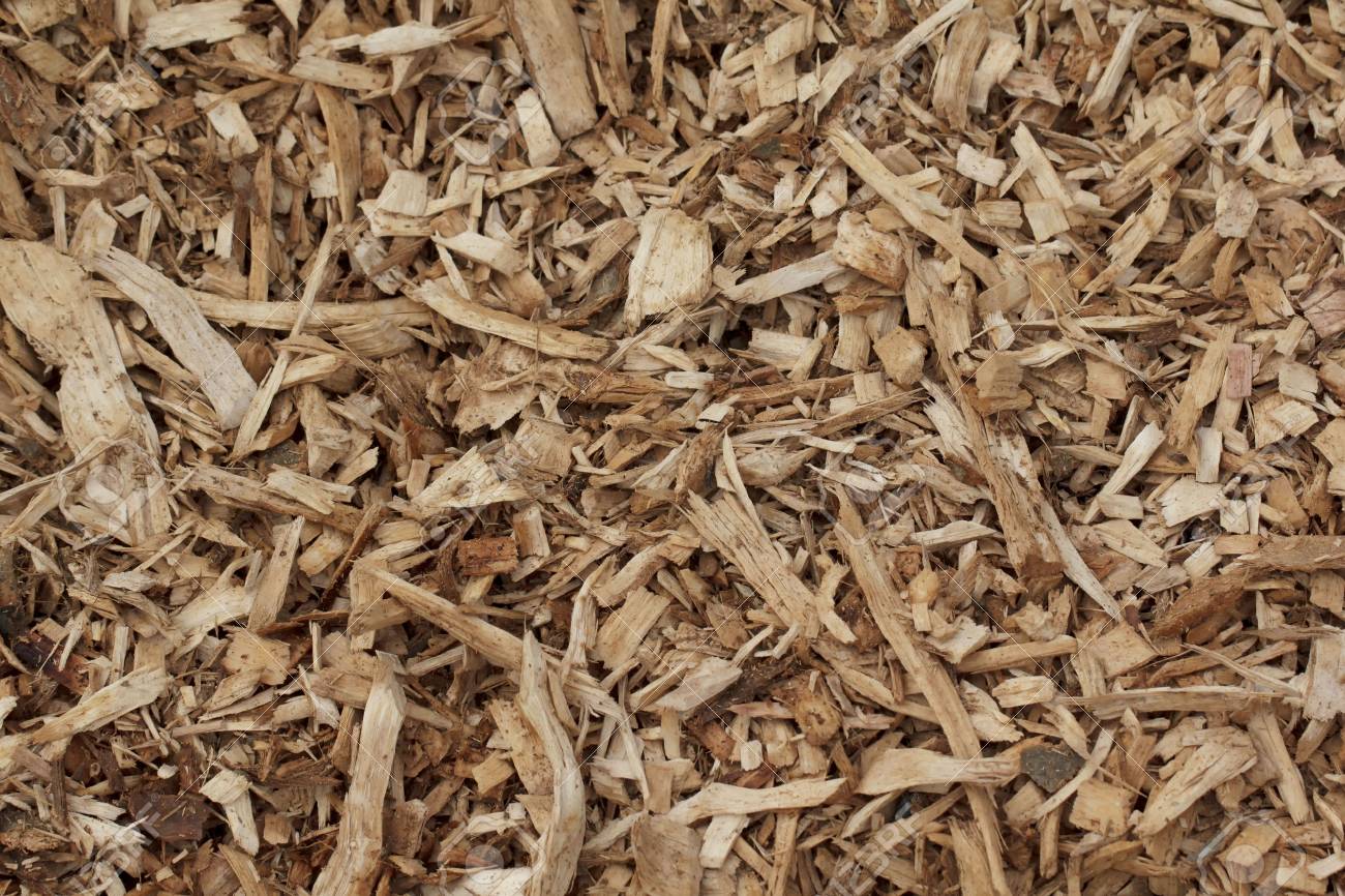 Wood Chips Background Stock Photo Picture And Royalty Image
