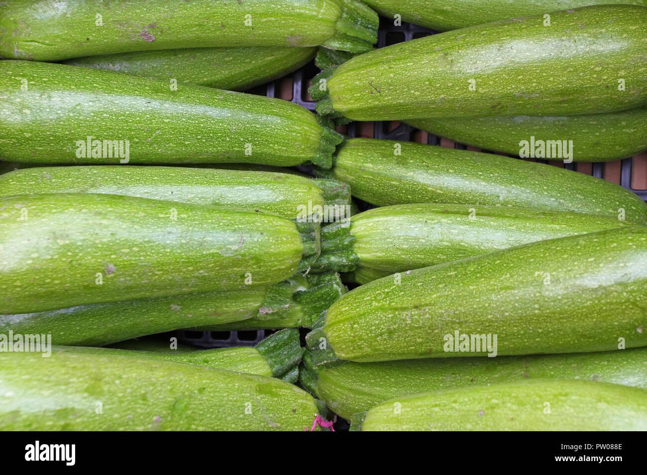 Zucchini Fresh Green Vegetables On Local Farmer Market