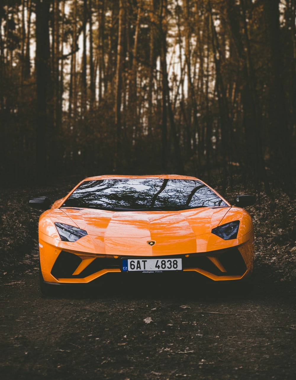 Sports Cars Wallpapers Lamborghini