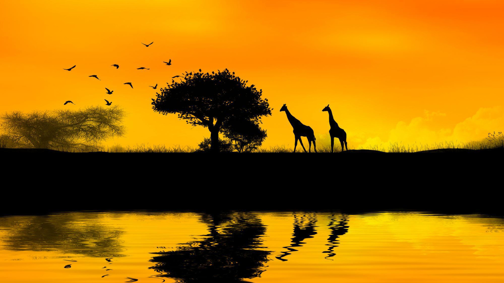 Africa Giraffes Sunsets Birds Tree