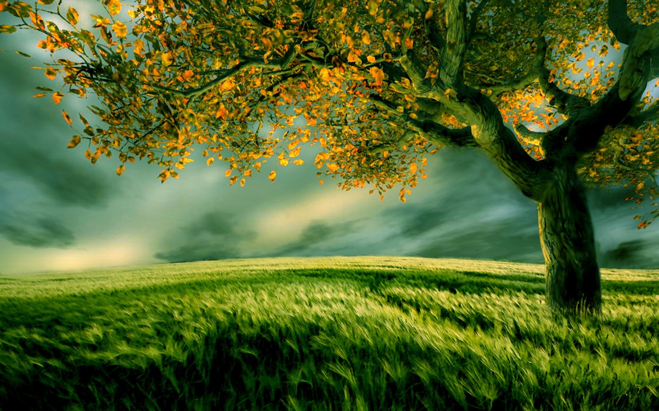 New Nature Wallpaper You Are Ing The Named