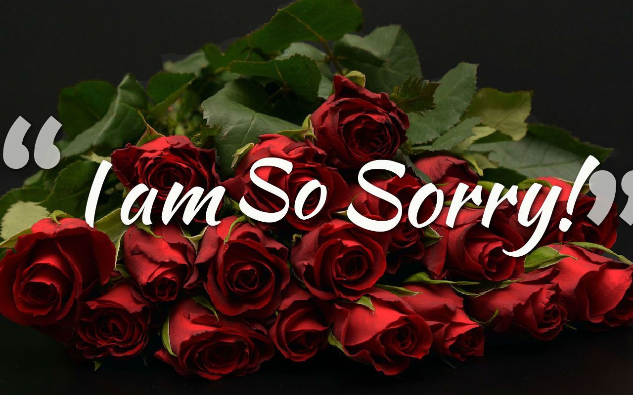 Sorry Image For Love L Am So Wallpaper Background