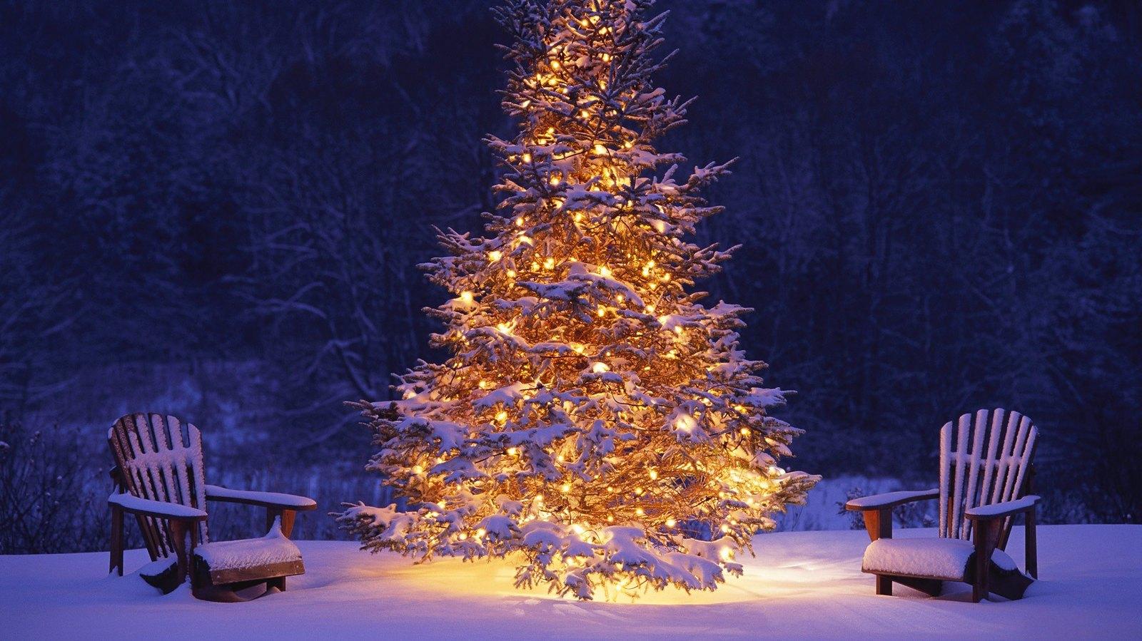 Merry Christmas Tree Lights Snow HD Wallpaper Stylish