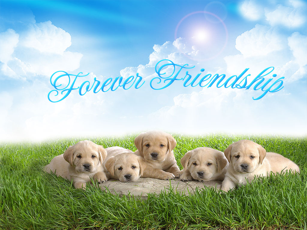 friends forever dp status for whatsapp group5 friends group dp girl 3  best friends forever images
