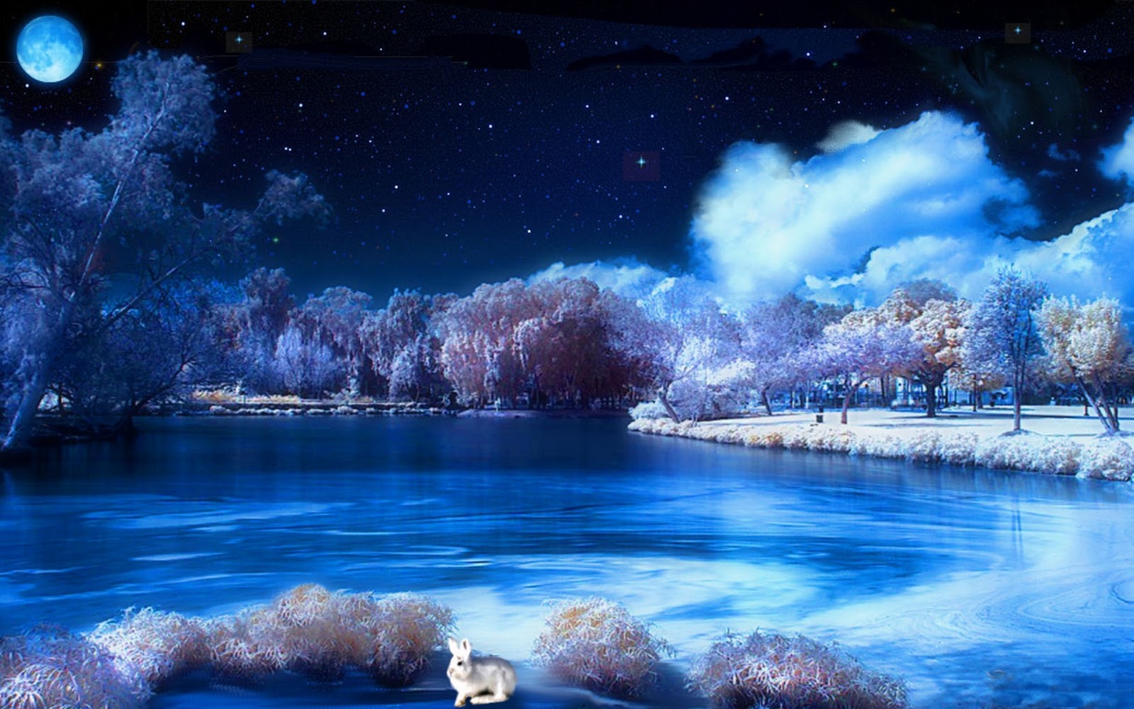 Winter S Night HD Desktop Wallpaper