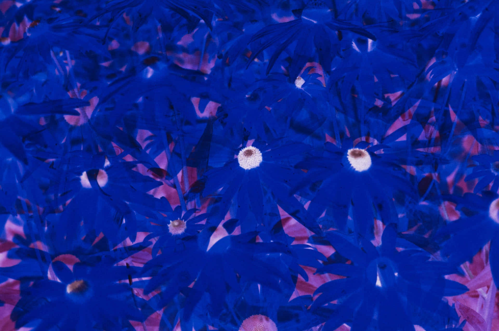 Trippy Dark Blue Aesthetic Wallpaper