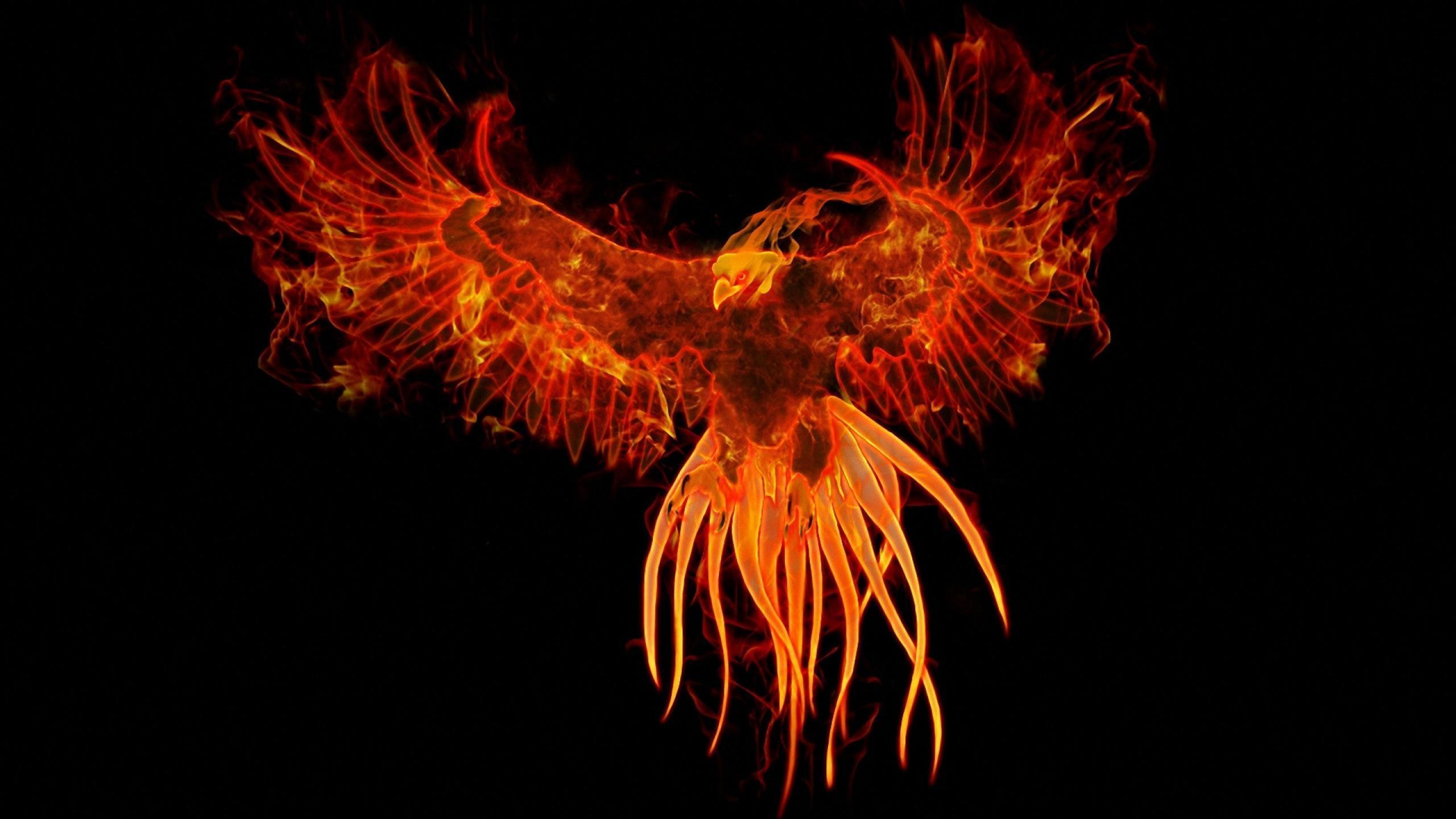 Phoenix Bird Wallpaper