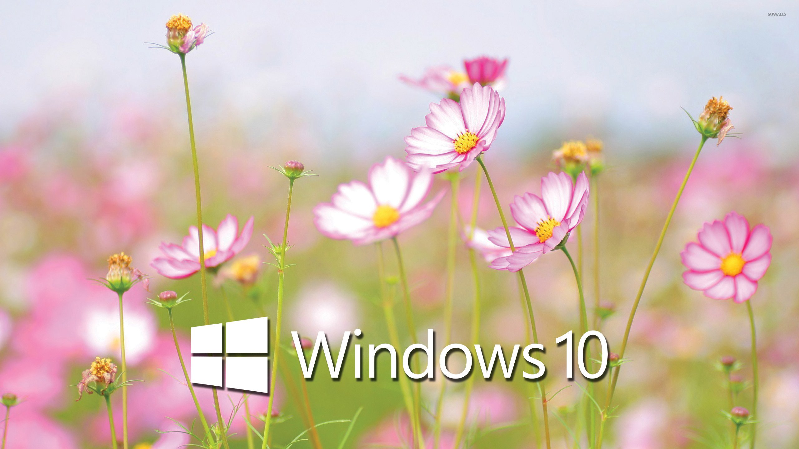 Windows 10 wallpaper 2560x1440