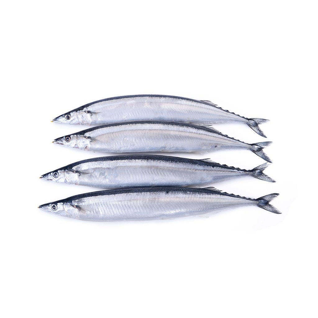 Pacific Saury Wallpaper