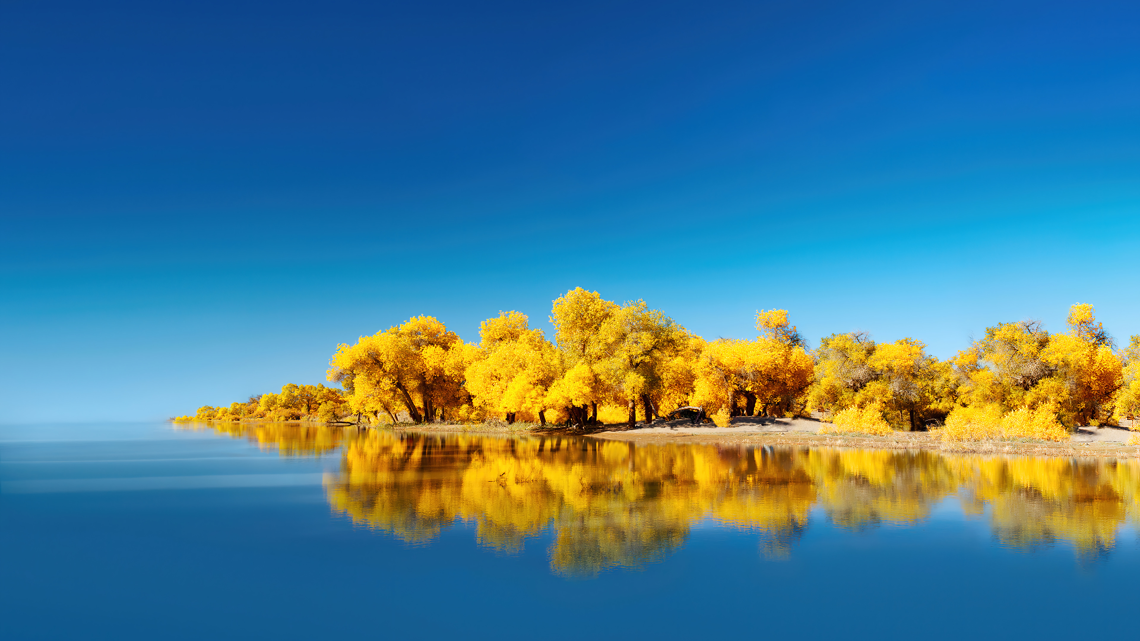 Lake Yellow Tree Scenery Huawei Wallpaper 4k HD Pc 2510f
