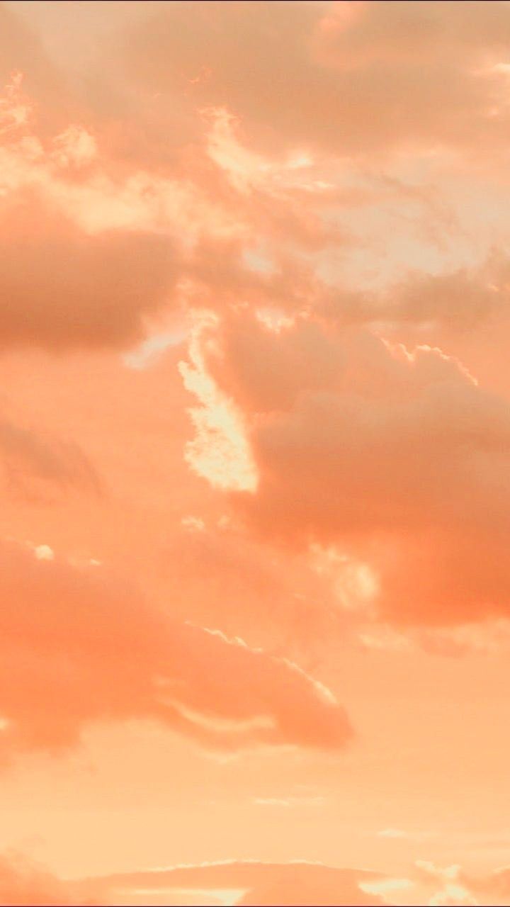 Edited In Wallpaper