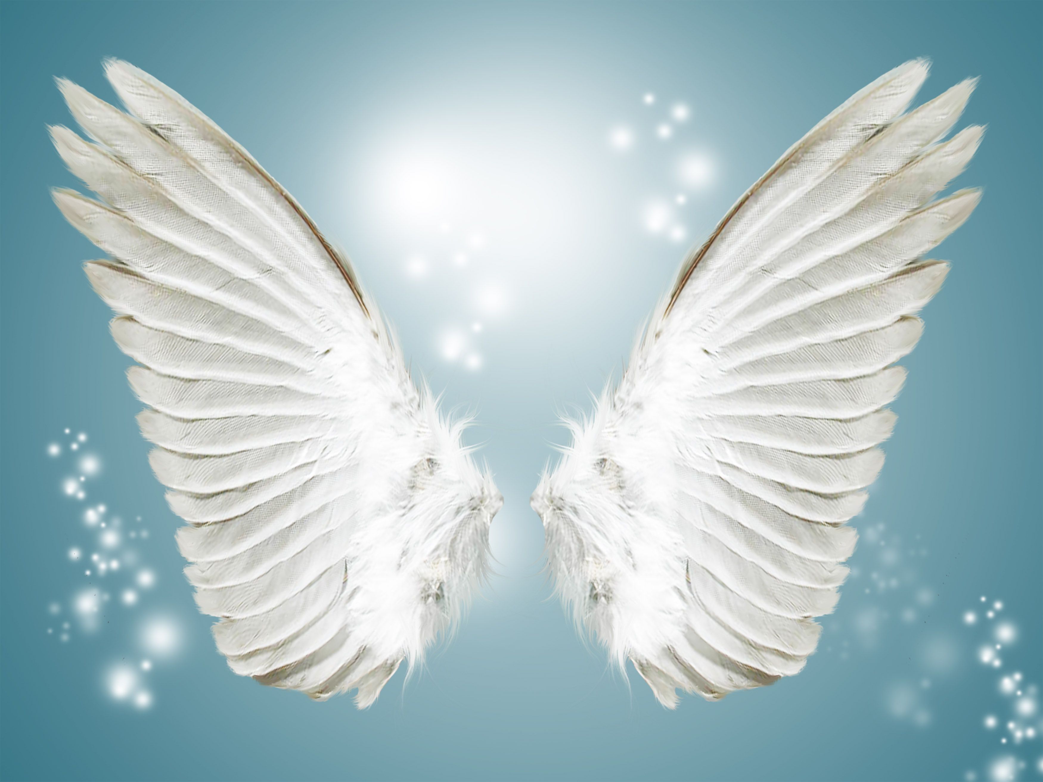 Angel White Wing Background En Fotos De Alas Ngel