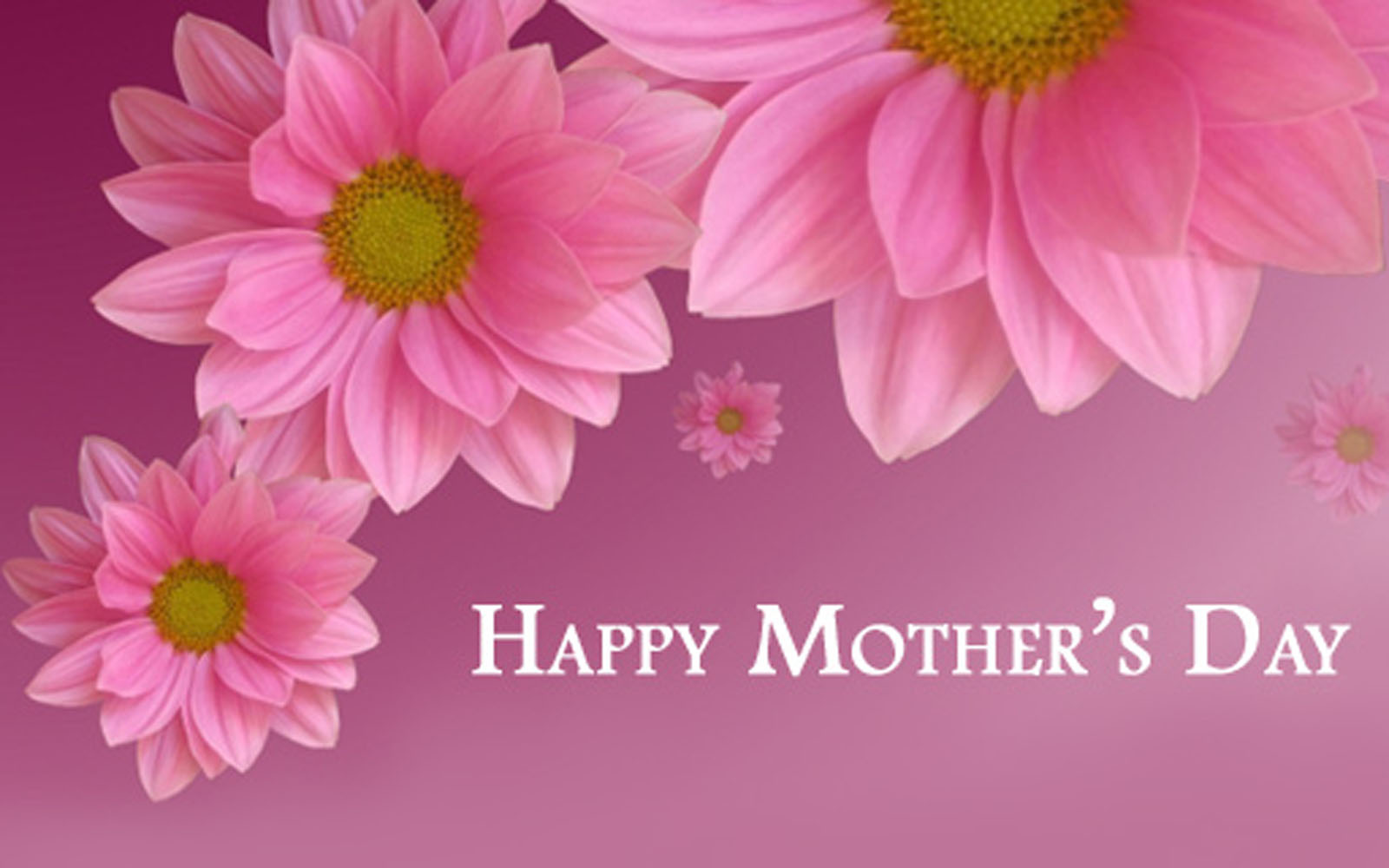 Atoz Nature Wallpaper Happy Mother S Day